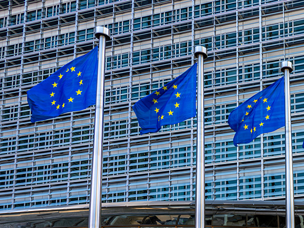 EU flags